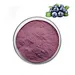 Blueberry Anthocyanin